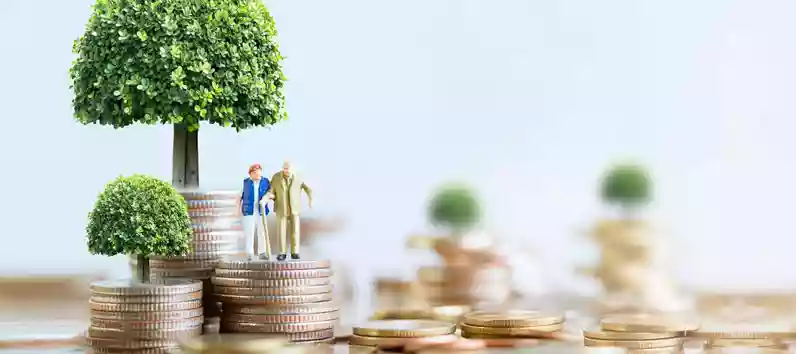 Retirement Planner - Expert Consultant